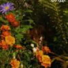 Серія книг «Тіні мого міста»