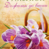 «Дожити до весни» Надія Гуменюк